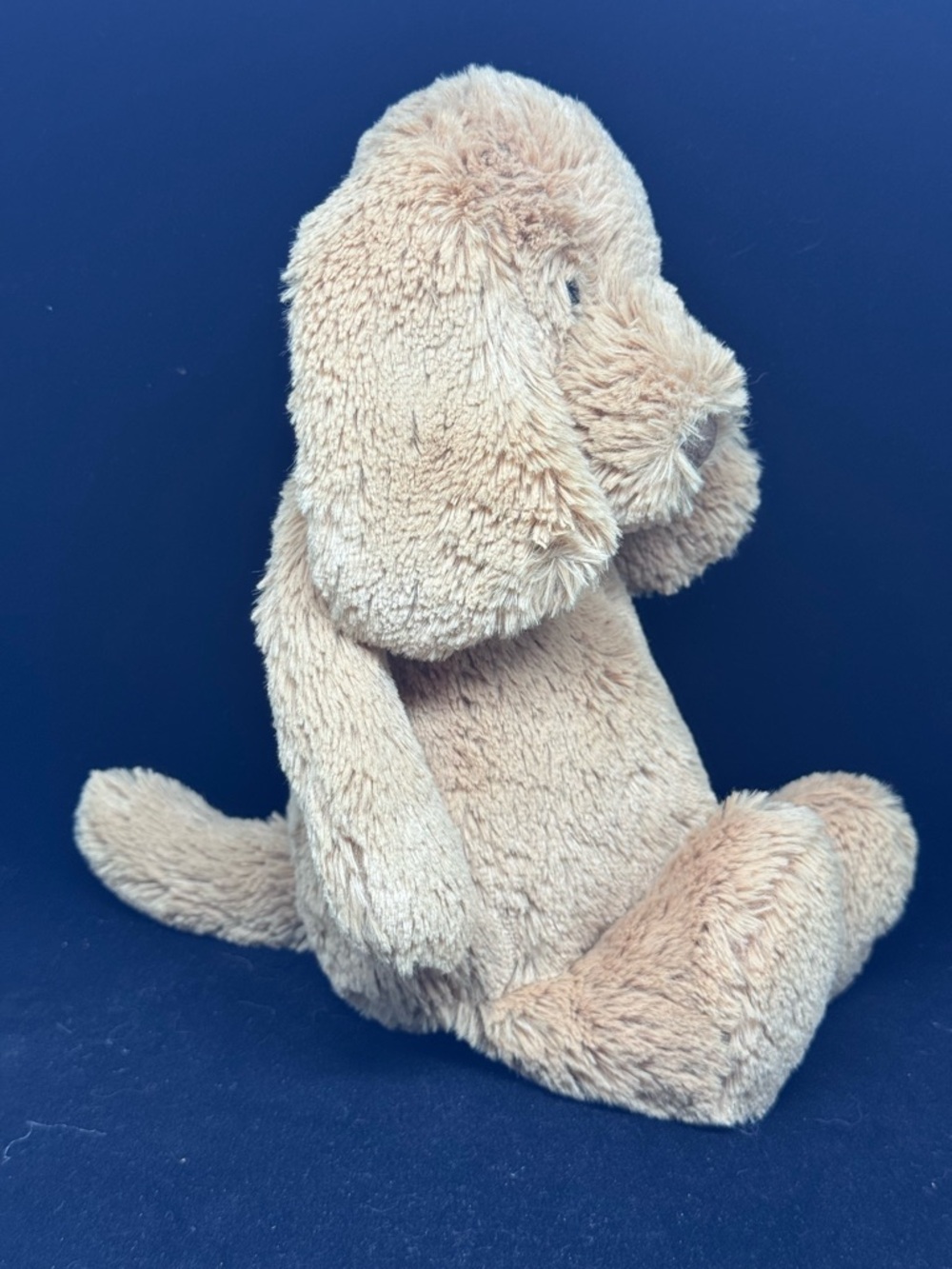 JELLYCAT - Bashful Toffee Puppy Dog Plush Toy - 12” - Picture 3 of 8